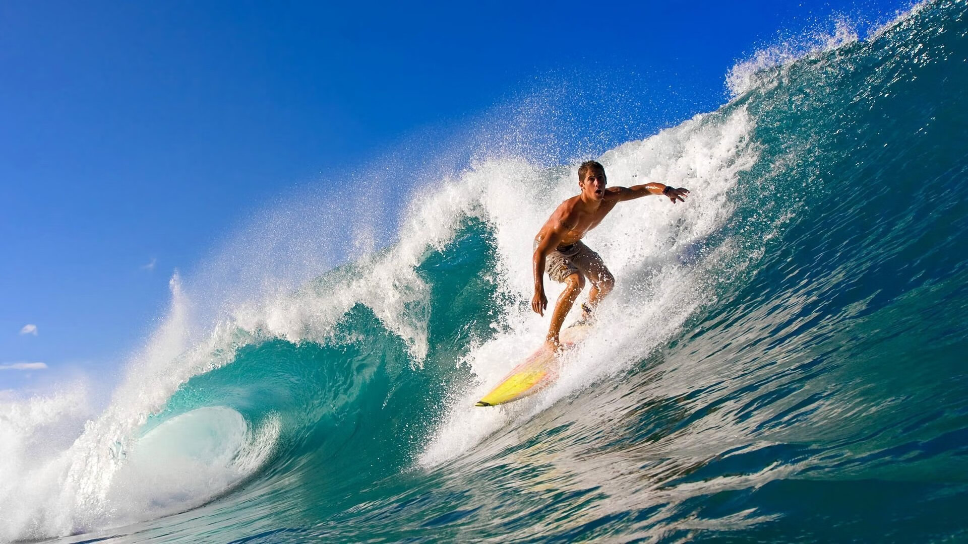 武切维奇打出生涯之夜,森林狼正面击溃步行者,当错误成为传奇的注脚